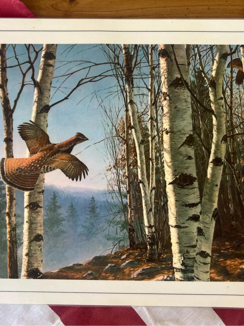 Vintage Birch Forest Game Bird Art Dinner table place mats